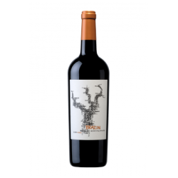 Delicato Family Vineyards....